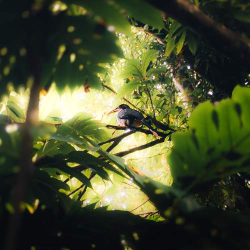 Photo #10674059