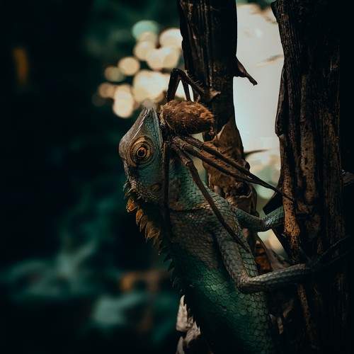 Photo #10674065
