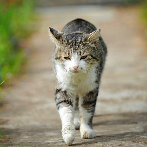 Photo #10674142
