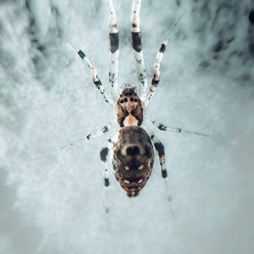 Photo #10674165