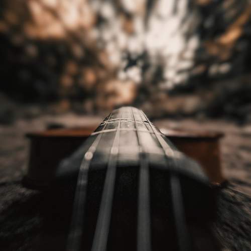 Photo #10674204