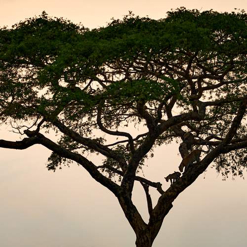 Photo #10674537