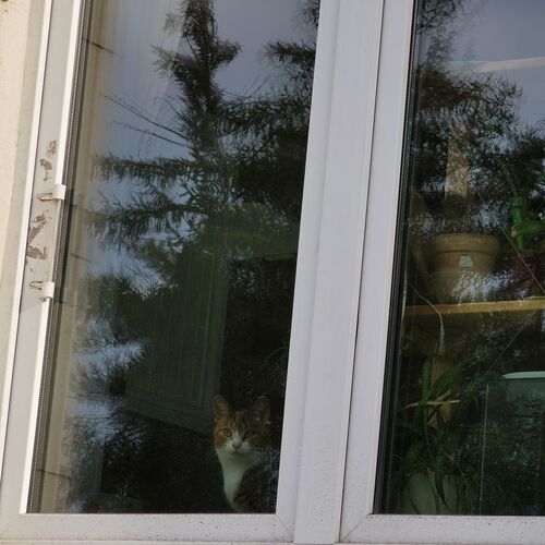 Photo #10674591
