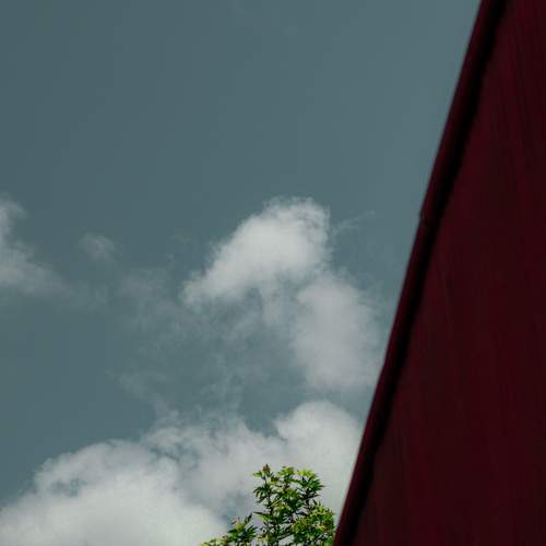 Photo #10674796