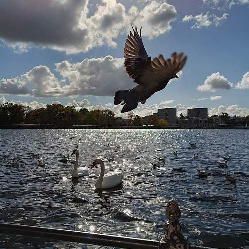 Photo #10674806