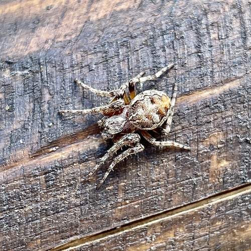 Photo #10674814