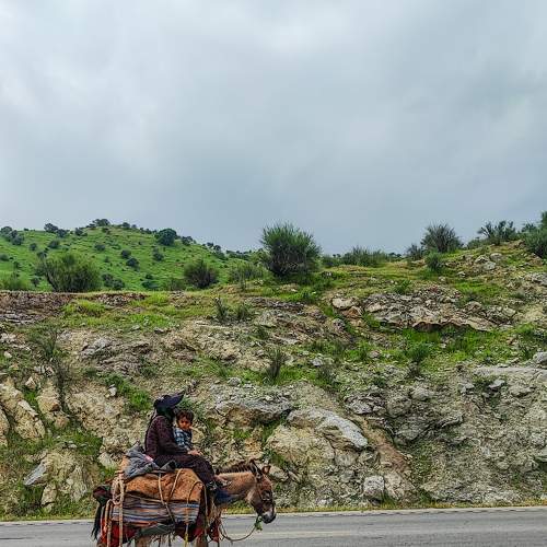 Photo #10674830