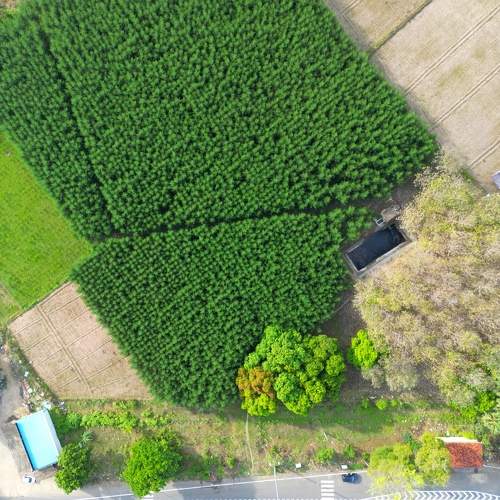 Photo #10674890