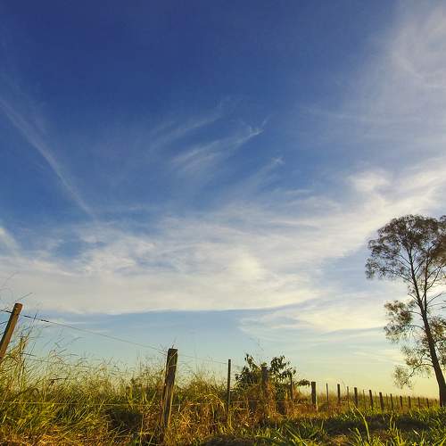 Photo #10674945