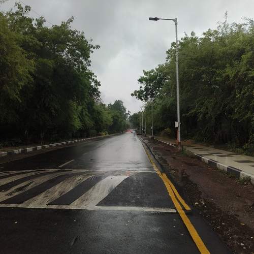 Photo #10674955