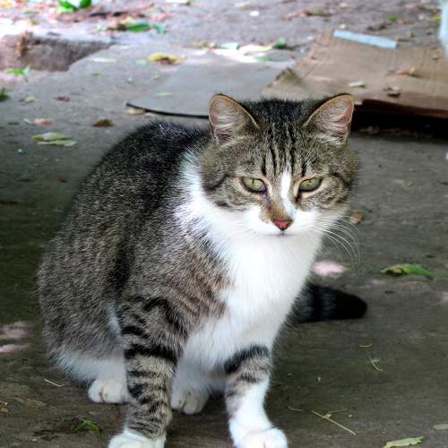 Photo #10674971
