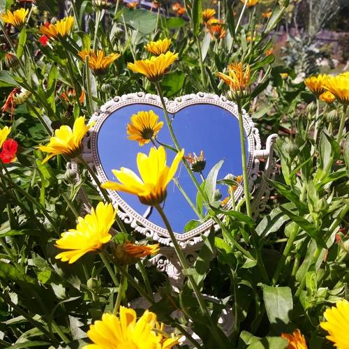 Photo #10675035