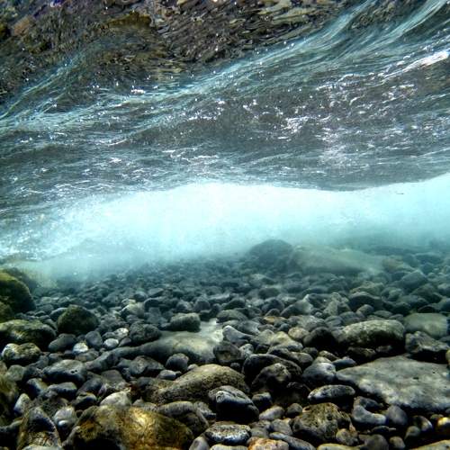 Photo #10675106
