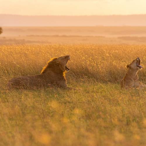 Photo #10675693