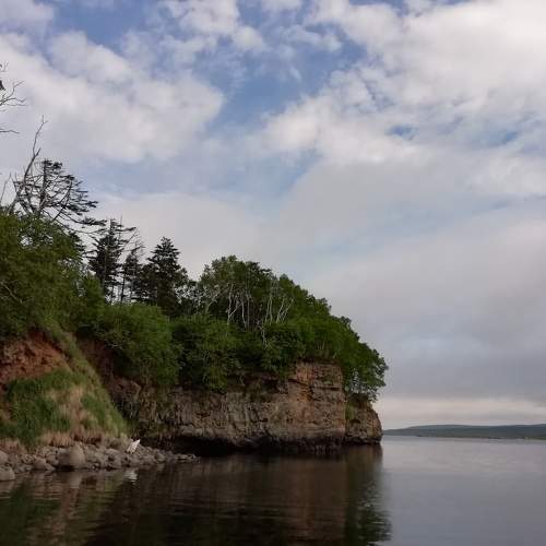 Photo #10675930