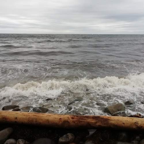 Photo #10675933