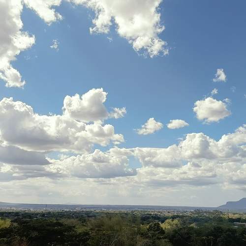 Photo #10675935