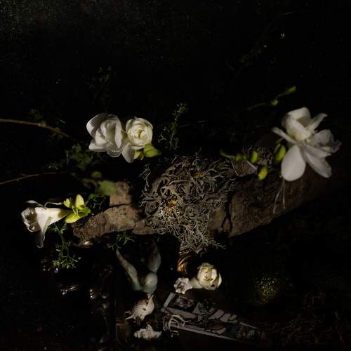 Фотография #10676038