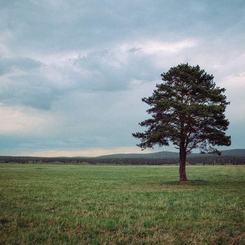 Photo #10676200