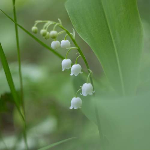 Photo #10676236