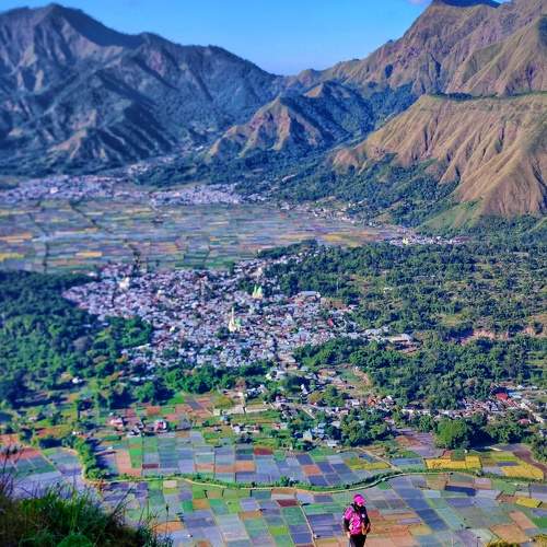Photo #10676244