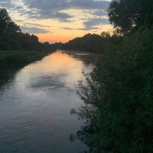 Photo #10676262