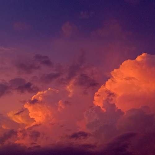 Photo #10676329