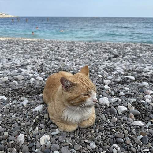 Photo #10676395