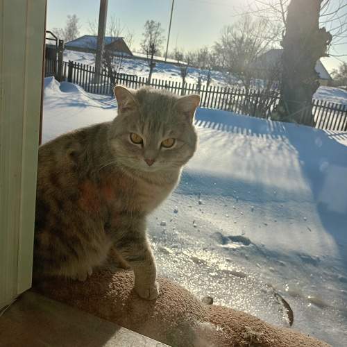 Photo #10676402