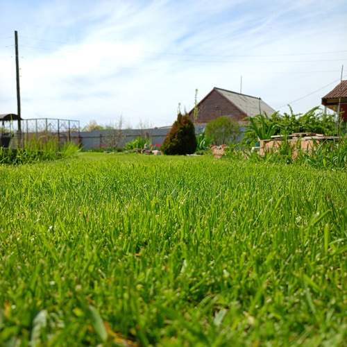 Photo #10676404