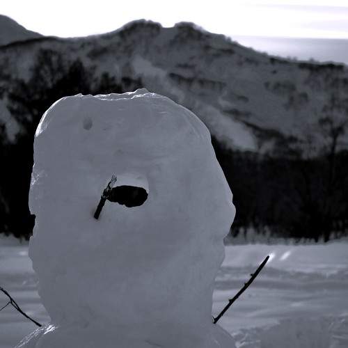 Photo #10676427