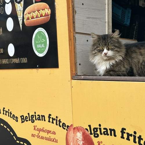 Photo #10676536