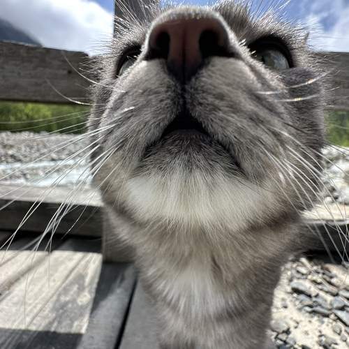 Photo #10676539