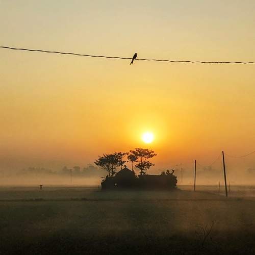 Winter Morning