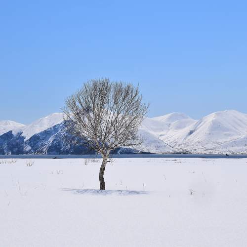 Photo #10677262