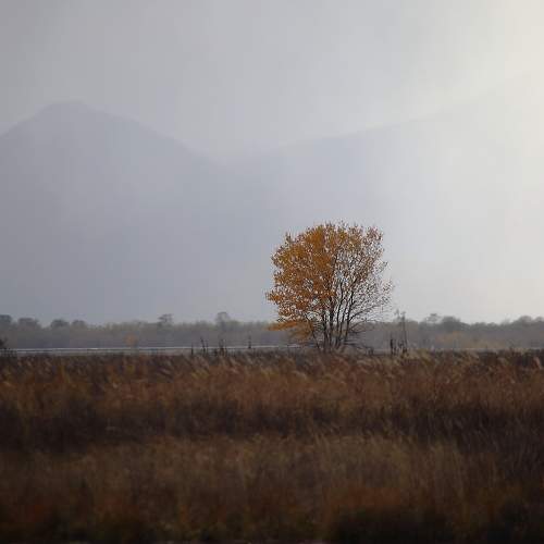 Photo #10677265
