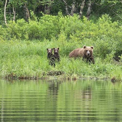 Photo #10677275