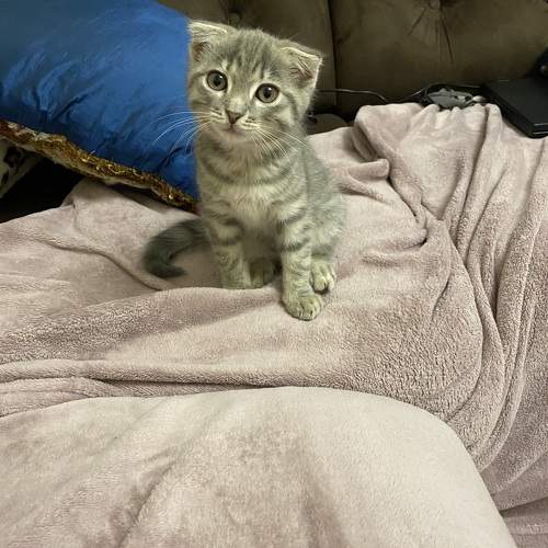 Photo #10677580