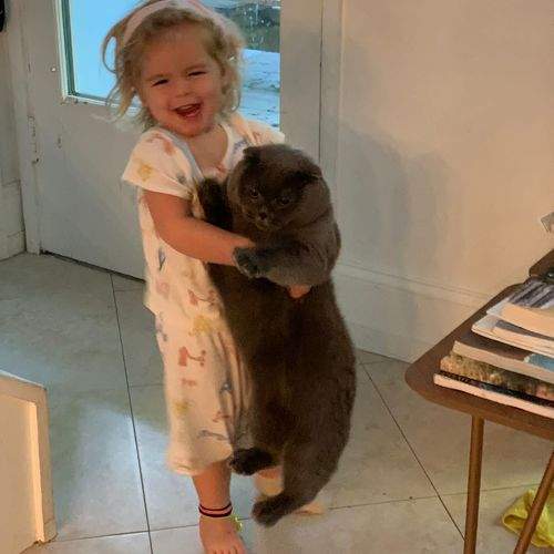 Photo #10677591