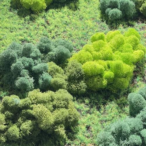 Photo #10677698