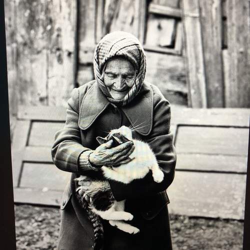 Photo #10677711