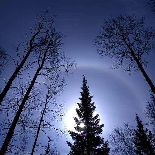 Photo #10677866