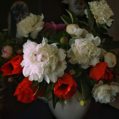 Photo #10677959
