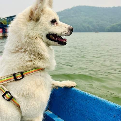 Photo #10677967