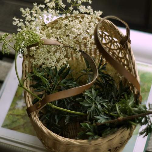 Photo #10677974