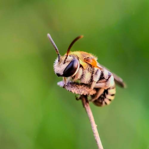 Photo #10677984