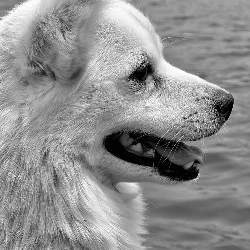 Photo #10677996