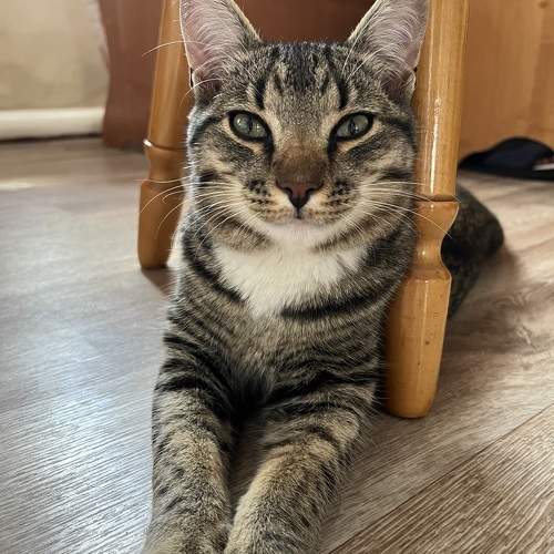 Photo #10678161