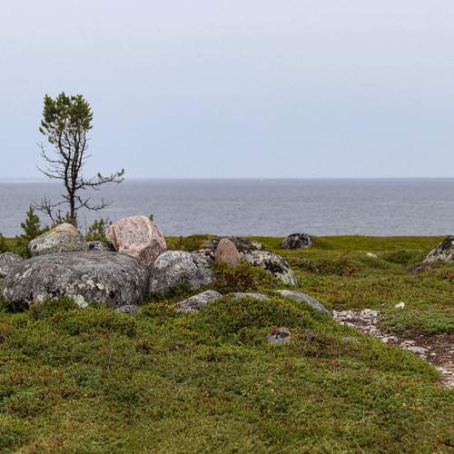 Photo #10678288
