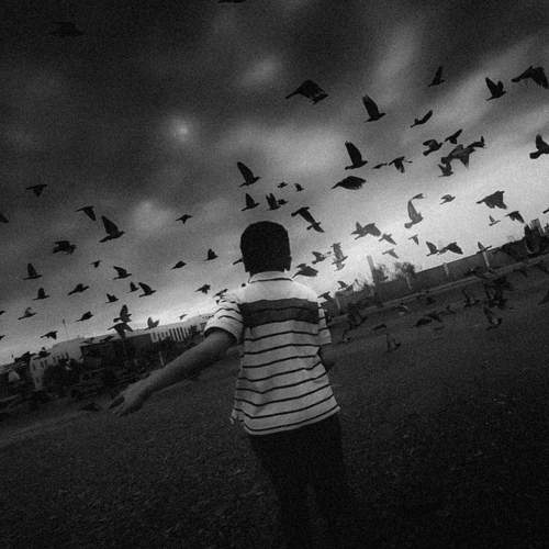Photo #10678338